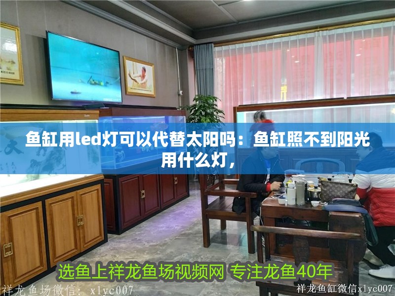 魚缸用led燈可以代替太陽嗎：魚缸照不到陽光用什么燈，
