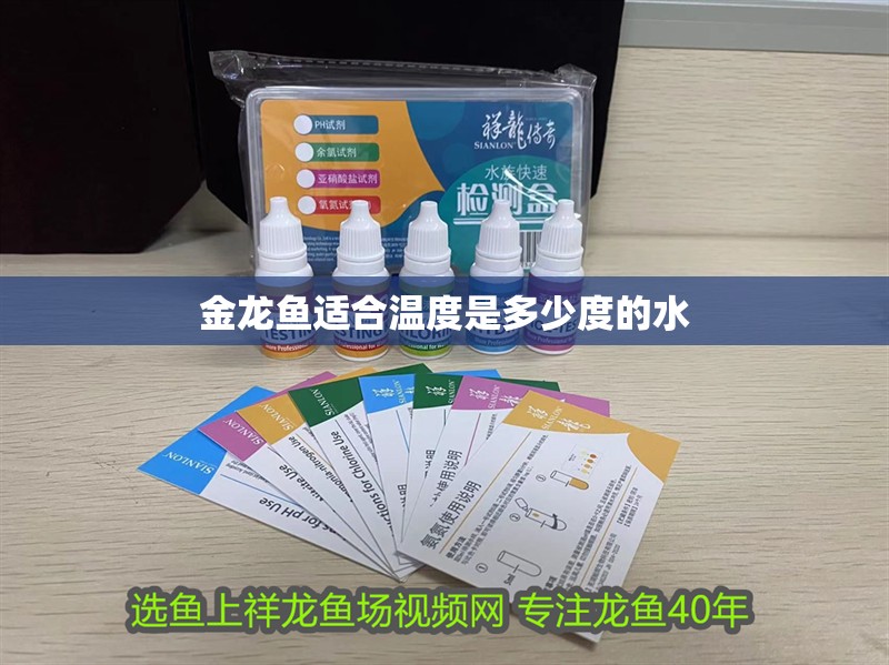 金龍魚適合溫度是多少度的水 龍魚百科 金龍魚適合溫度是多少度的水 金龍魚適合溫度是多少度的水 龍魚百科