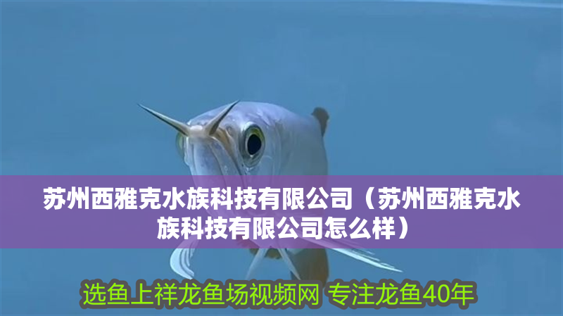 蘇州西雅克水族科技有限公司（蘇州西雅克水族科技有限公司怎么樣） 蘇州西雅克水族科技有限公司（蘇州西雅克水族科技有限公司怎么樣） 全國水族館企業名錄 第2張