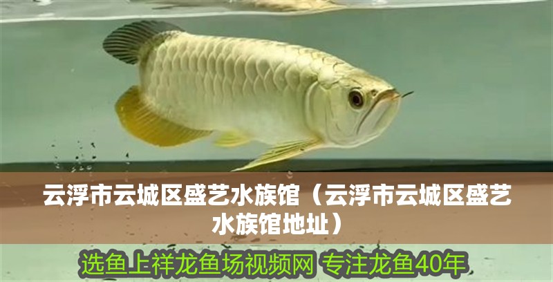 云浮市云城區(qū)盛藝水族館（云浮市云城區(qū)盛藝水族館地址） 云浮市云城區(qū)盛藝水族館（云浮市云城區(qū)盛藝水族館地址） 全國水族館企業(yè)名錄 第2張