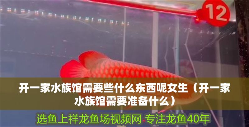 開一家水族館需要些什么東西呢女生(開一家水族館需要準備什么) 水族館百科(水族館加盟) 第1張 開一家水族館需要些什么東西呢女生(開一家水族館需要準備什么) 開一家水族館需要些什么東西呢女生(開一家水族館需要準備什么) 水族館百科(水族館加盟) 第1張