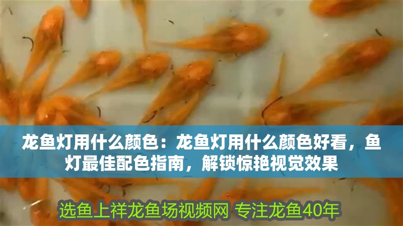 龍魚燈用什么顏色：龍魚燈用什么顏色好看，魚燈最佳配色指南，解鎖驚艷視覺效果