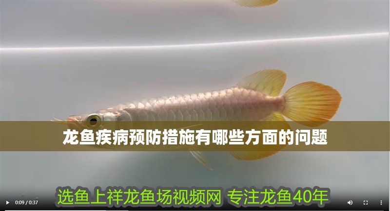 龍魚疾病預防措施有哪些方面的問題