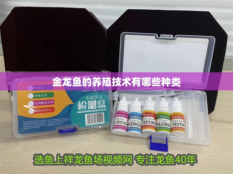 金龍魚的養殖技術有哪些種類