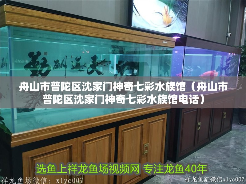 舟山市普陀區沈家門神奇七彩水族館（舟山市普陀區沈家門神奇七彩水族館電話）