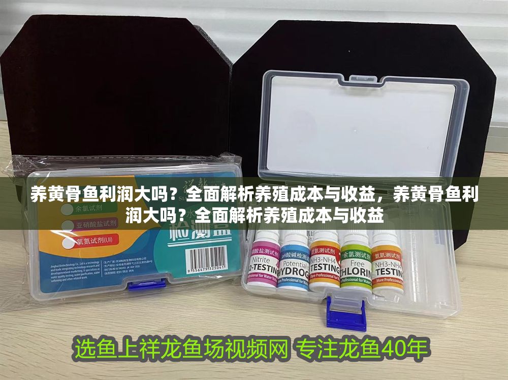 養黃骨魚利潤大嗎？全面解析養殖成本與收益，養黃骨魚利潤大嗎？全面解析養殖成本與收益