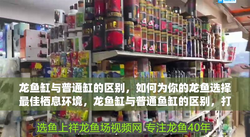 龍魚缸與普通缸的區別，如何為你的龍魚選擇最佳棲息環境，龍魚缸與普通魚缸的區別，打造完美龍魚棲息環境指南