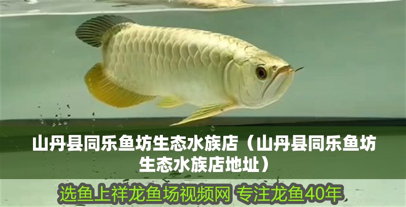 山丹縣同樂魚坊生態水族店（山丹縣同樂魚坊生態水族店地址） 山丹縣同樂魚坊生態水族店（山丹縣同樂魚坊生態水族店地址） 全國水族館企業名錄 第2張