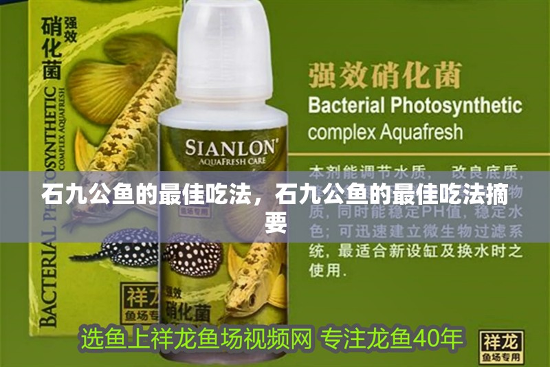 石九公魚的最佳吃法，石九公魚的最佳吃法摘要