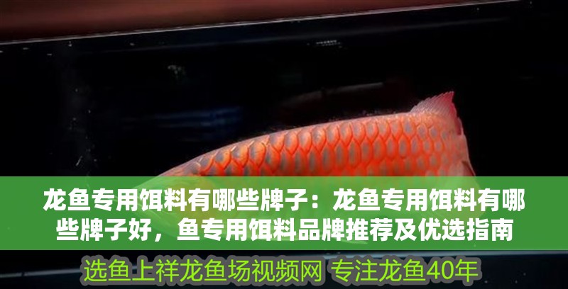 龍魚專用餌料有哪些牌子：龍魚專用餌料有哪些牌子好，魚專用餌料品牌推薦及優選指南