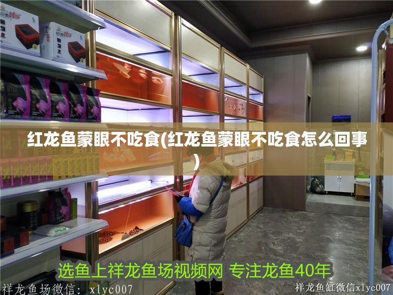 紅龍魚蒙眼不吃食(紅龍魚蒙眼不吃食怎么回事)