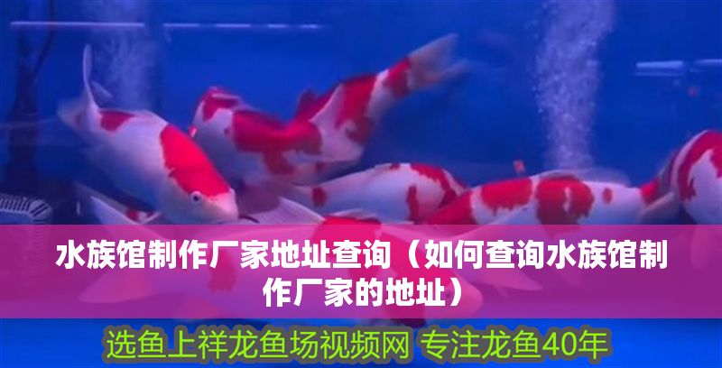 水族館制作廠家地址查詢（如何查詢水族館制作廠家的地址）