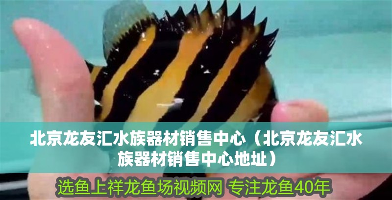 北京龍友匯水族器材銷售中心（北京龍友匯水族器材銷售中心地址）