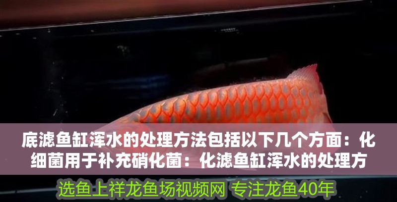 底濾魚缸渾水的處理方法包括以下幾個方面：化細菌用于補充硝化菌：化濾魚缸渾水的處理方法
