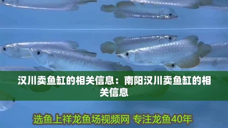 漢川賣魚缸的相關信息：南陽漢川賣魚缸的相關信息