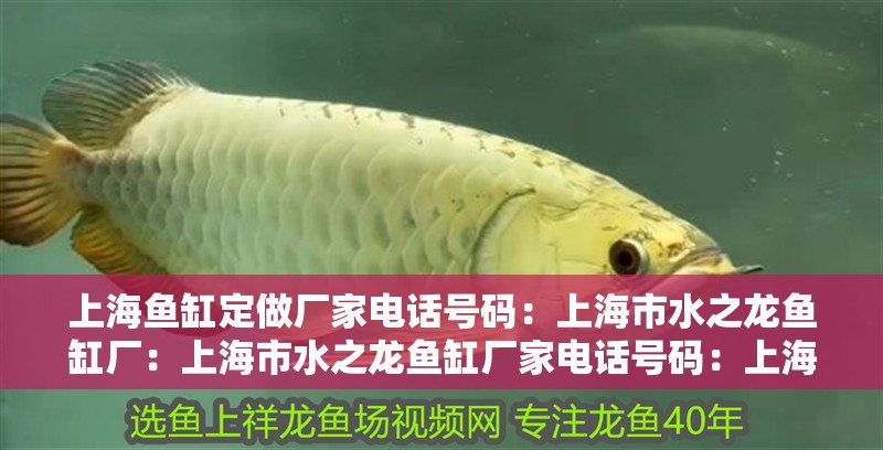 魚缸過濾器選購指南:自制魚缸過濾器魚缸上置過濾器對于養魚愛好者的必備知識 上海魚缸定做廠家電話號碼:上海市水之龍魚缸廠:上海市水之龍魚缸廠家電話號碼:上海市水之龍魚缸廠 魚缸百科 上海魚缸定做廠家電話號碼:上海市水之龍魚缸廠:上海市水之龍魚缸廠家電話號碼:上海市水之龍魚缸廠 上海魚缸定做廠家電話號碼:上海市水之龍魚缸廠:上海市水之龍魚缸廠家電話號碼:上海市水之龍魚缸廠 魚缸百科