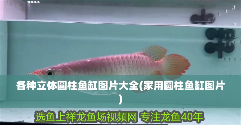 各種立體圓柱魚缸圖片大全(家用圓柱魚缸圖片) 各種立體圓柱魚缸圖片大全(家用圓柱魚缸圖片) 銀龍魚百科
