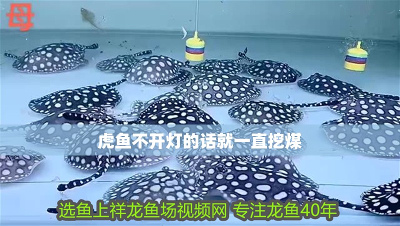 虎魚不開燈的話就一直挖煤