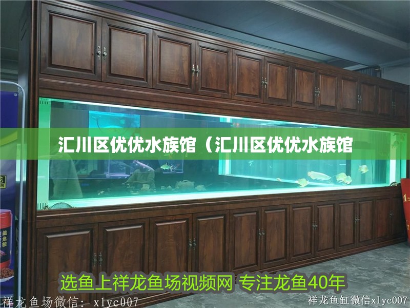 匯川區優優水族館（匯川區優優水族館