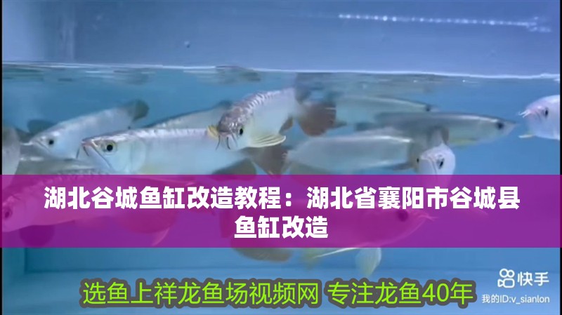 魚缸過濾器選購指南:自制魚缸過濾器魚缸上置過濾器對于養魚愛好者的必備知識 湖北谷城魚缸改造教程:湖北省襄陽市谷城縣魚缸改造 魚缸百科 湖北谷城魚缸改造教程:湖北省襄陽市谷城縣魚缸改造 湖北谷城魚缸改造教程:湖北省襄陽市谷城縣魚缸改造 魚缸百科