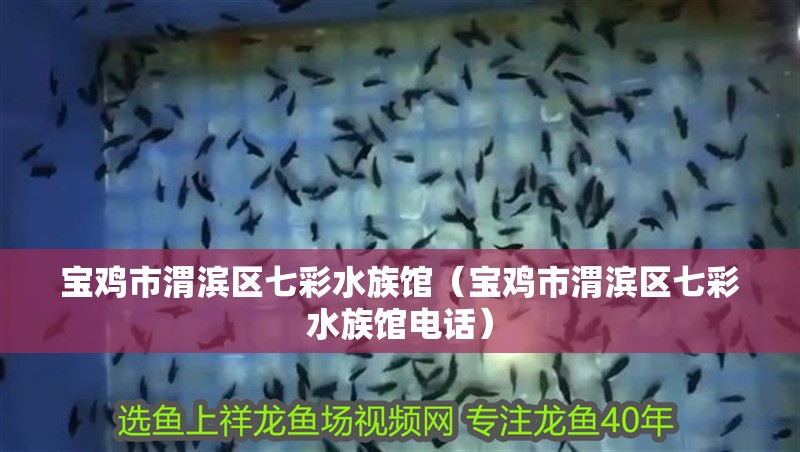 寶雞市渭濱區七彩水族館（寶雞市渭濱區七彩水族館電話） 寶雞市渭濱區七彩水族館（寶雞市渭濱區七彩水族館電話） 全國水族館企業名錄 第2張