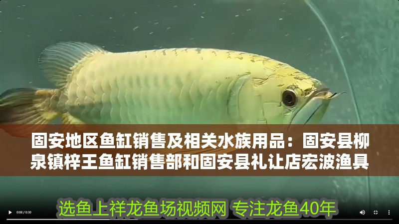 固安地區魚缸銷售及相關水族用品：固安縣柳泉鎮梓王魚缸銷售部和固安縣禮讓店宏波漁具廠 固安地區魚缸銷售及相關水族用品：固安縣柳泉鎮梓王魚缸銷售部和固安縣禮讓店宏波漁具廠 魚缸百科