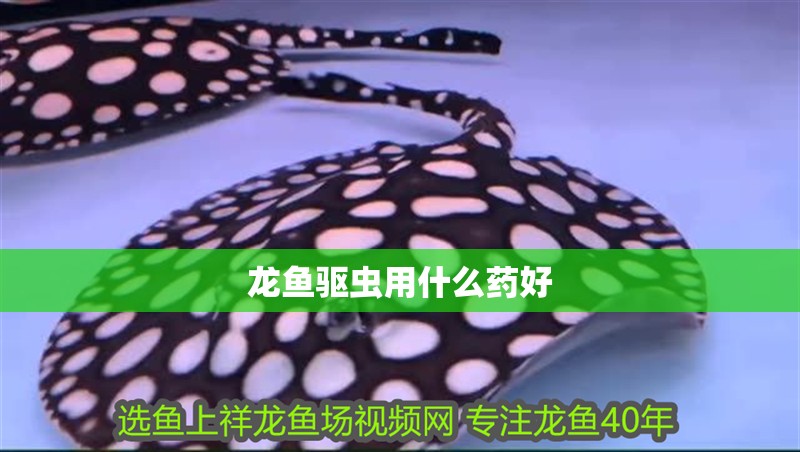 龍魚(yú)驅(qū)蟲(chóng)用什么藥好