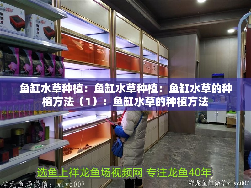 魚缸水草種植：魚缸水草種植：魚缸水草的種植方法（1）：魚缸水草的種植方法
