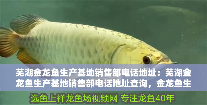蕪湖金龍魚生產(chǎn)基地銷售部電話地址：蕪湖金龍魚生產(chǎn)基地銷售部電話地址查詢，金龍魚生產(chǎn)基地銷售