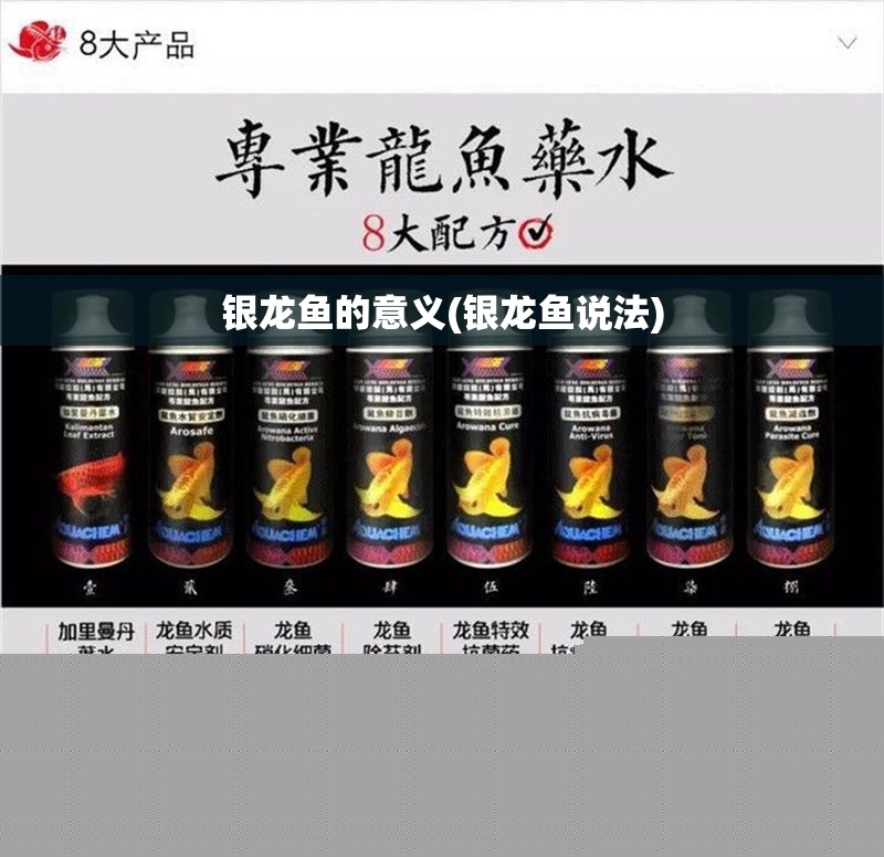 銀龍魚的意義(銀龍魚說法)