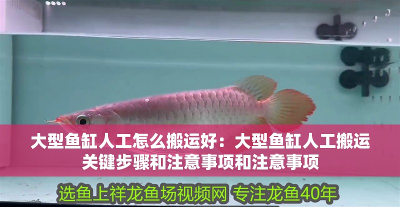 大型魚缸人工怎么搬運(yùn)好：大型魚缸人工搬運(yùn)關(guān)鍵步驟和注意事項(xiàng)和注意事項(xiàng)