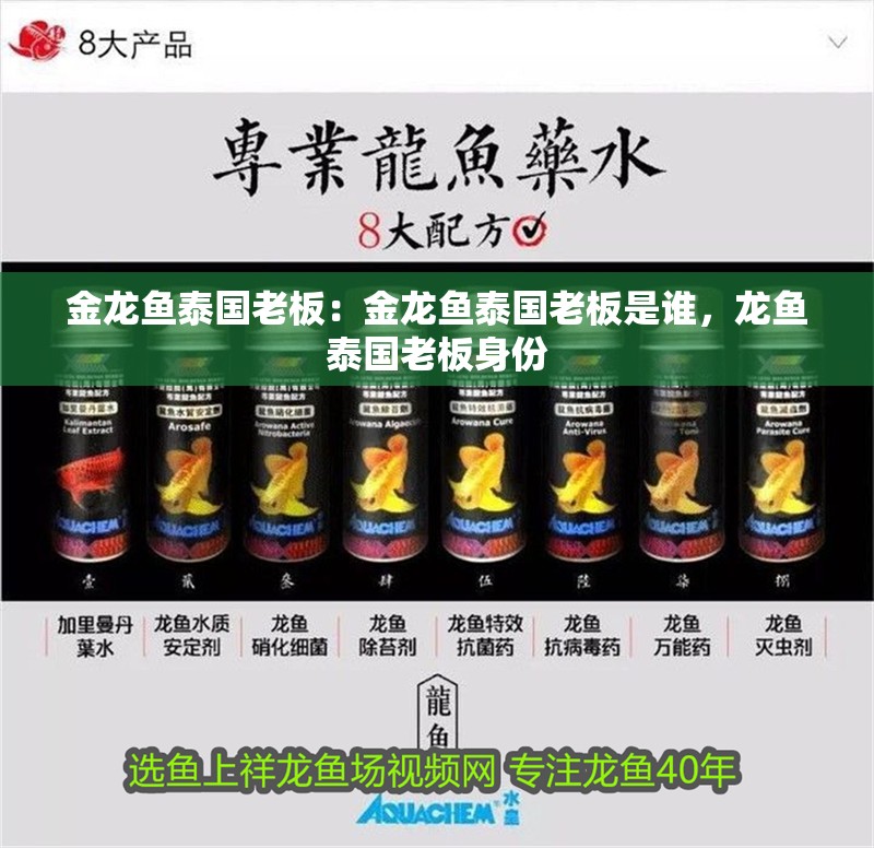 金龍魚泰國老板：金龍魚泰國老板是誰，龍魚泰國老板身份