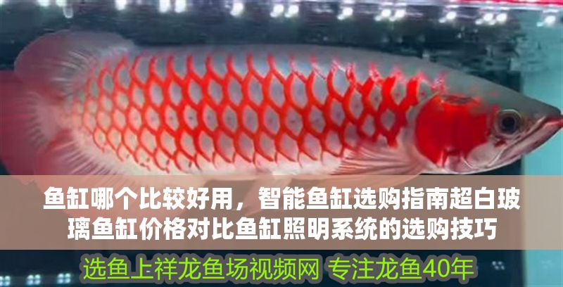 魚缸哪個比較好用，智能魚缸選購指南超白玻璃魚缸價格對比魚缸照明系統的選購技巧
