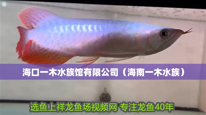 海口一木水族館有限公司（海南一木水族）