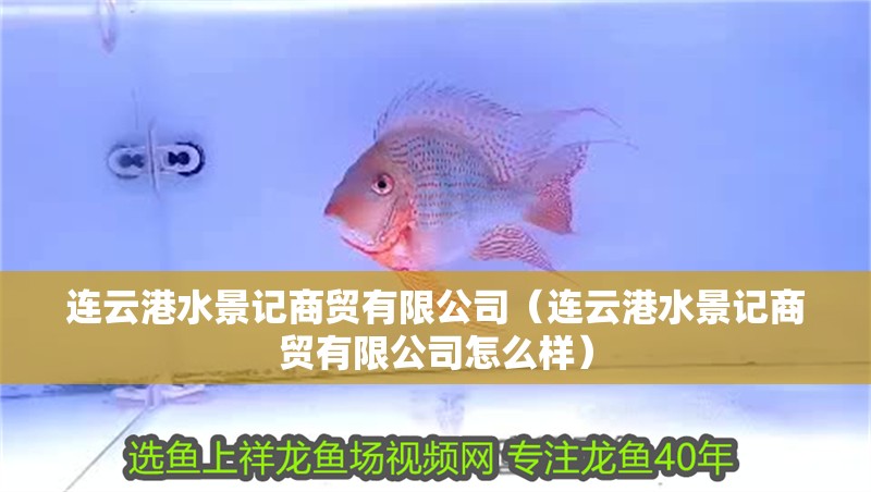 連云港水景記商貿(mào)有限公司(連云港水景記商貿(mào)有限公司怎么樣) 全國(guó)水族館企業(yè)名錄 第2張 連云港水景記商貿(mào)有限公司(連云港水景記商貿(mào)有限公司怎么樣) 連云港水景記商貿(mào)有限公司(連云港水景記商貿(mào)有限公司怎么樣) 全國(guó)水族館企業(yè)名錄 第2張