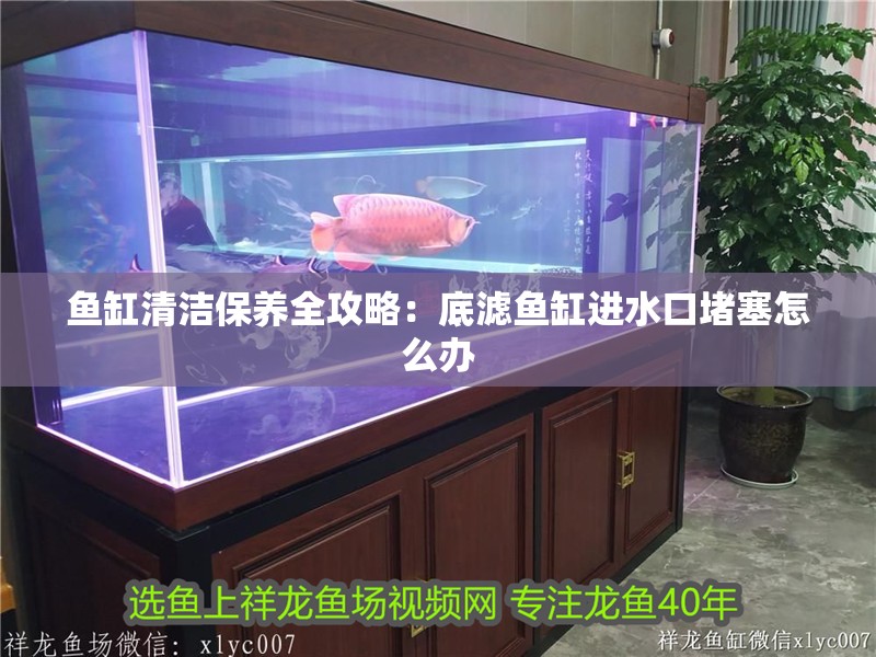 魚缸清潔保養全攻略：底濾魚缸進水口堵塞怎么辦