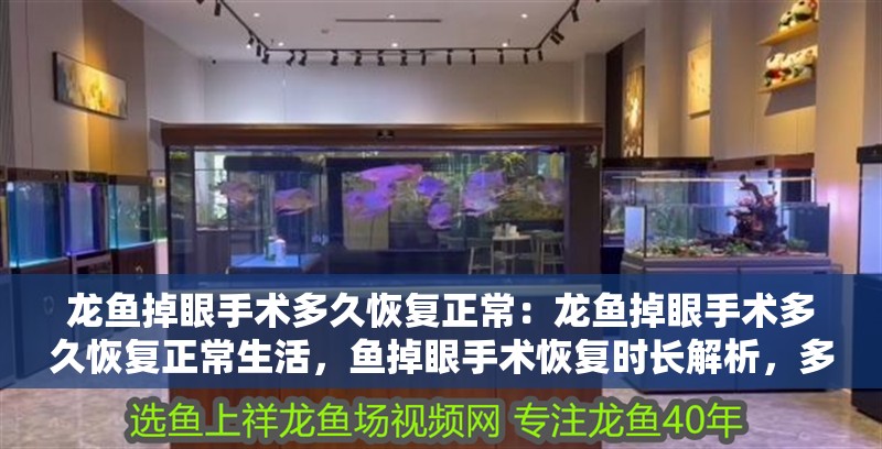 龍魚掉眼手術(shù)多久恢復(fù)正常:龍魚掉眼手術(shù)多久恢復(fù)正常生活,魚掉眼手術(shù)恢復(fù)時(shí)長解析,多久能重回正常生活? 水族問答 龍魚掉眼手術(shù)多久恢復(fù)正常:龍魚掉眼手術(shù)多久恢復(fù)正常生活,魚掉眼手術(shù)恢復(fù)時(shí)長解析,多久能重回正常生活? 龍魚掉眼手術(shù)多久恢復(fù)正常:龍魚掉眼手術(shù)多久恢復(fù)正常生活,魚掉眼手術(shù)恢復(fù)時(shí)長解析,多久能重回正常生活? 水族問答