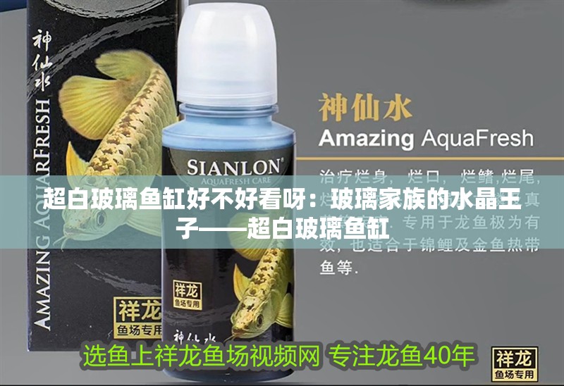 超白玻璃魚缸好不好看呀：玻璃家族的水晶王子——超白玻璃魚缸