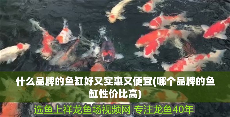 什么品牌的魚(yú)缸好又實(shí)惠又便宜(哪個(gè)品牌的魚(yú)缸性價(jià)比高)