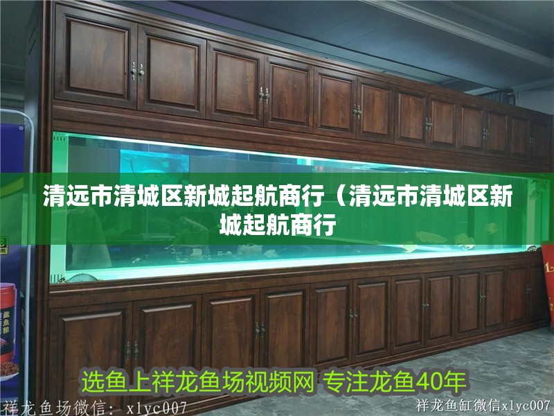 清遠市清城區(qū)新城起航商行(清遠市清城區(qū)新城起航商行 全國水族館企業(yè)名錄 第2張 清遠市清城區(qū)新城起航商行(清遠市清城區(qū)新城起航商行 清遠市清城區(qū)新城起航商行(清遠市清城區(qū)新城起航商行 全國水族館企業(yè)名錄 第2張