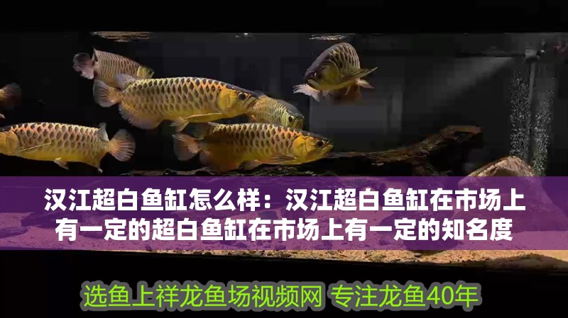 漢江超白魚缸怎么樣：漢江超白魚缸在市場上有一定的超白魚缸在市場上有一定的知名度
