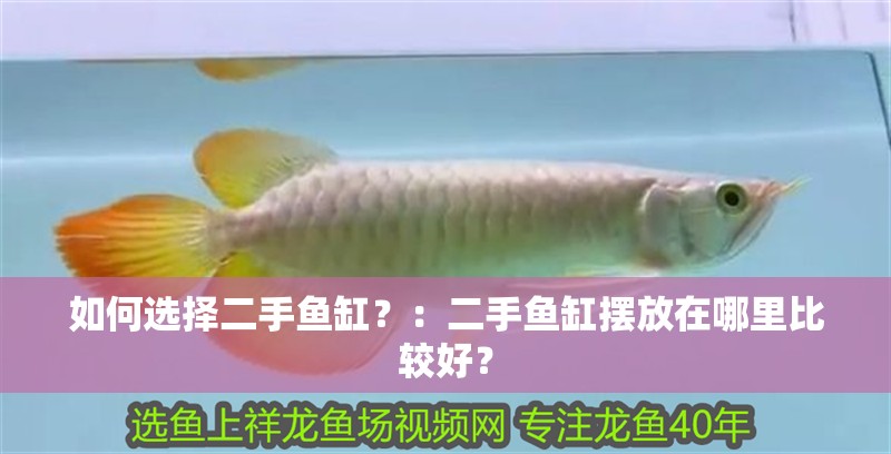 如何選擇二手魚缸？：二手魚缸擺放在哪里比較好？