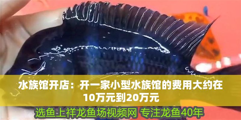 水族館開店：開一家小型水族館的費用大約在10萬元到20萬元 水族館開店：開一家小型水族館的費用大約在10萬元到20萬元 水族館百科（水族館加盟） 第1張