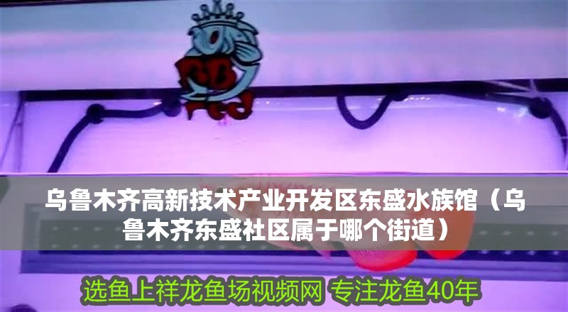 烏魯木齊高新技術產業開發區東盛水族館（烏魯木齊東盛社區屬于哪個街道）