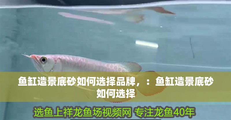 魚缸造景底砂如何選擇品牌，：魚缸造景底砂如何選擇