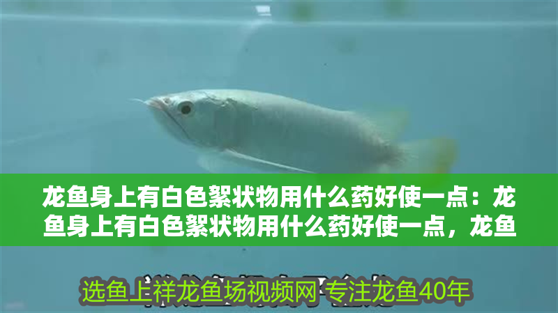 龍魚身上有白色絮狀物用什么藥好使一點：龍魚身上有白色絮狀物用什么藥好使一點，龍魚身上出現白色絮狀物的高效