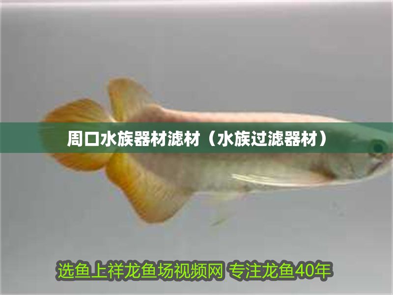 周口水族器材濾材（水族過濾器材）