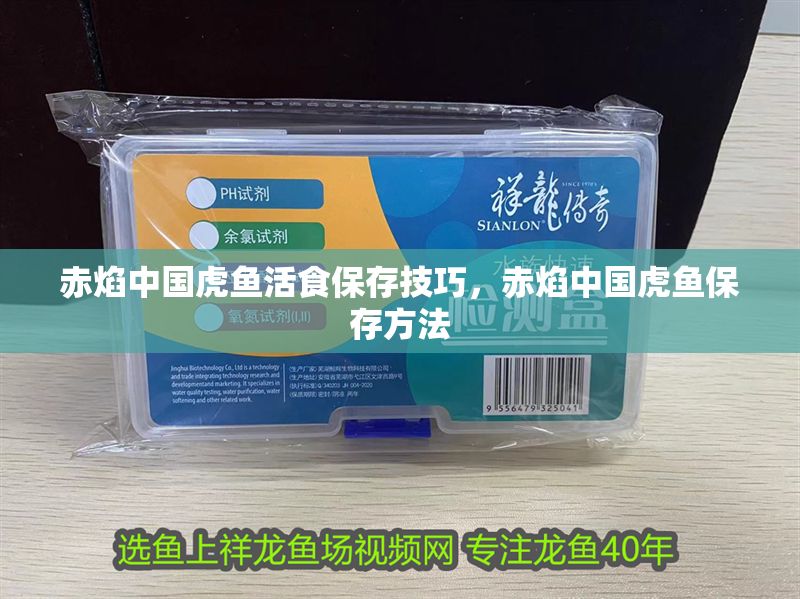 赤焰中國虎魚活食保存技巧，赤焰中國虎魚保存方法