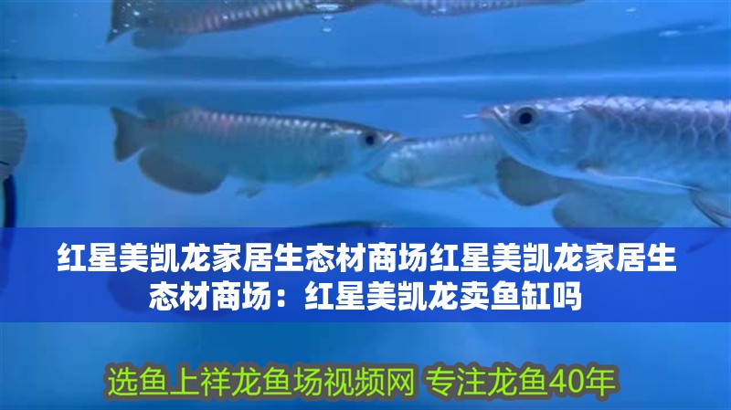 紅星美凱龍家居生態材商場紅星美凱龍家居生態材商場：紅星美凱龍賣魚缸嗎