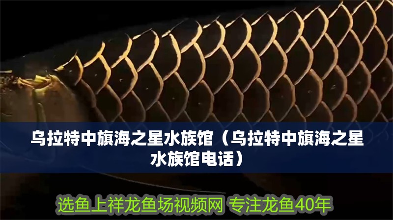 烏拉特中旗海之星水族館（烏拉特中旗海之星水族館電話）